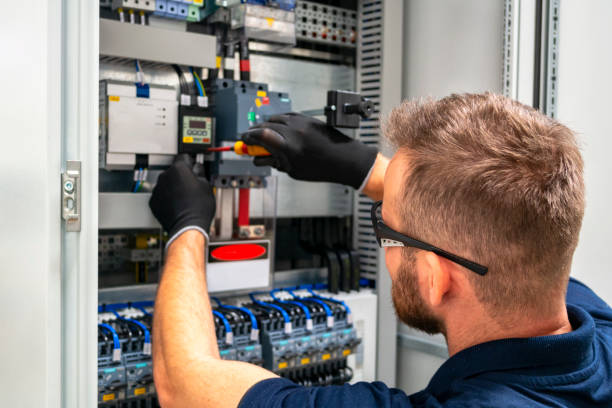 Best Electric Panel Repair  in Sunnyside, GA